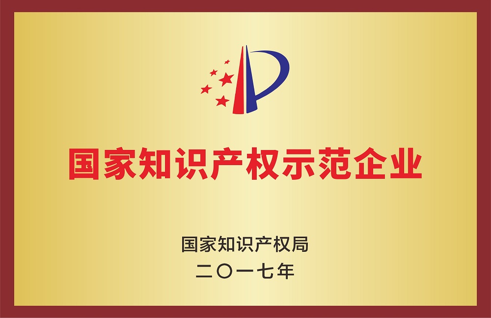 National Intellectual Property Demonstration Enterprise